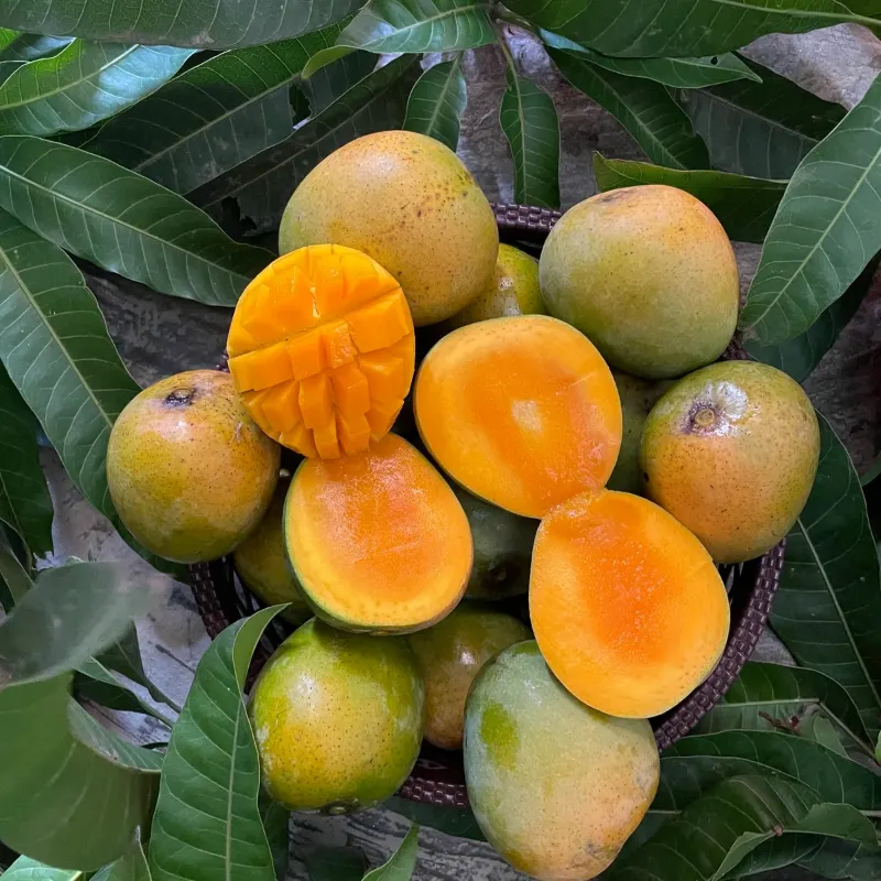 হিমসাগর আম