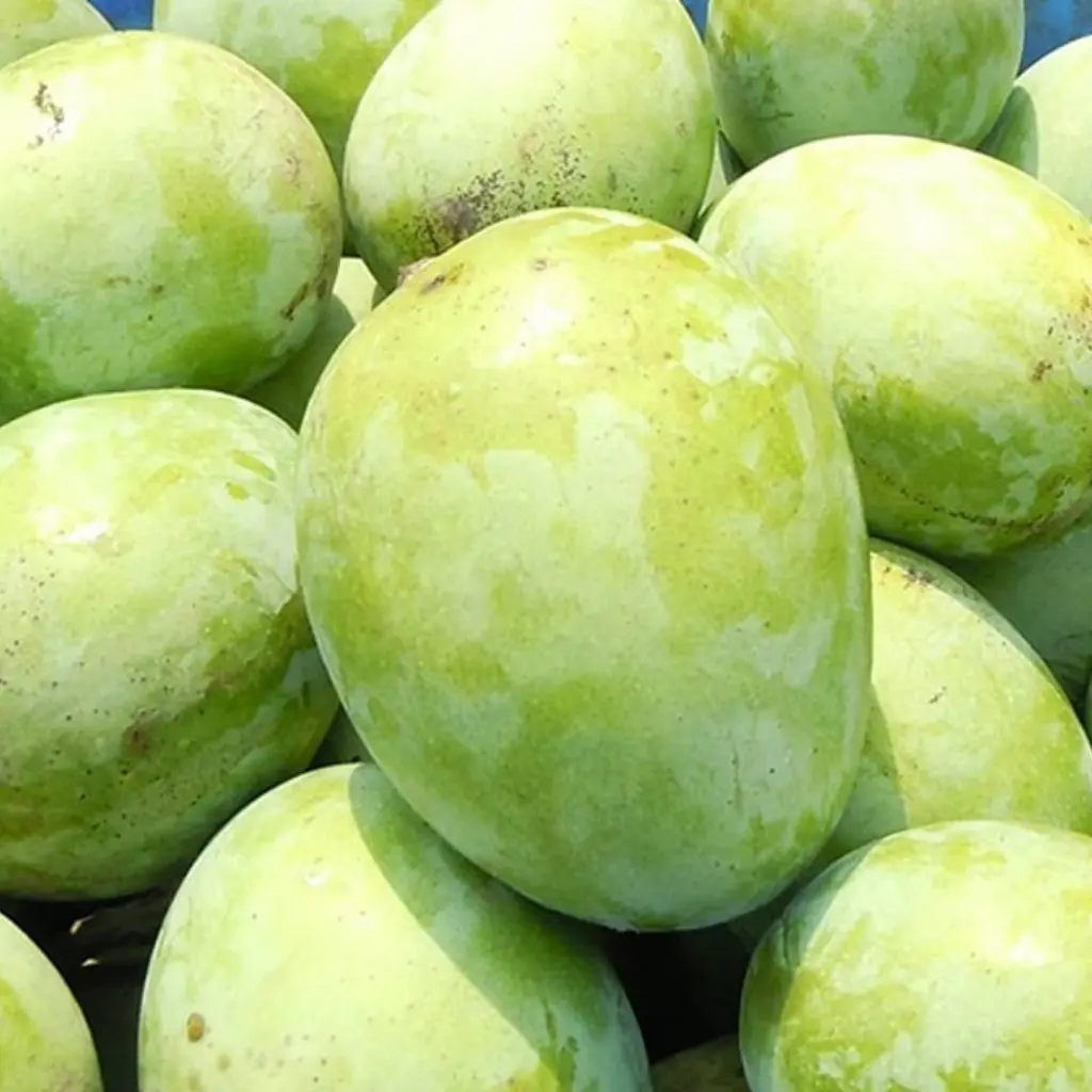 ল্যাংড়া আম