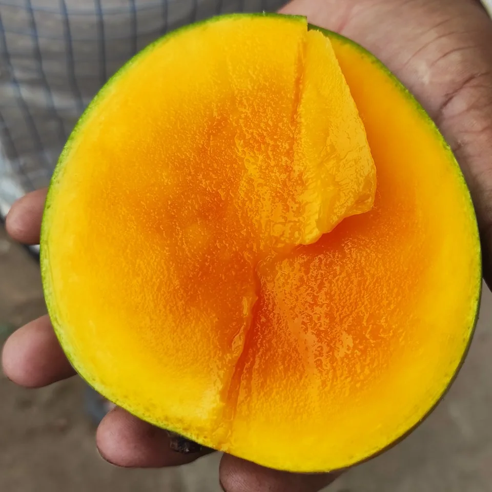 গোবিন্দভোগ আম 4