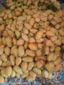 কাটিমন আম 10